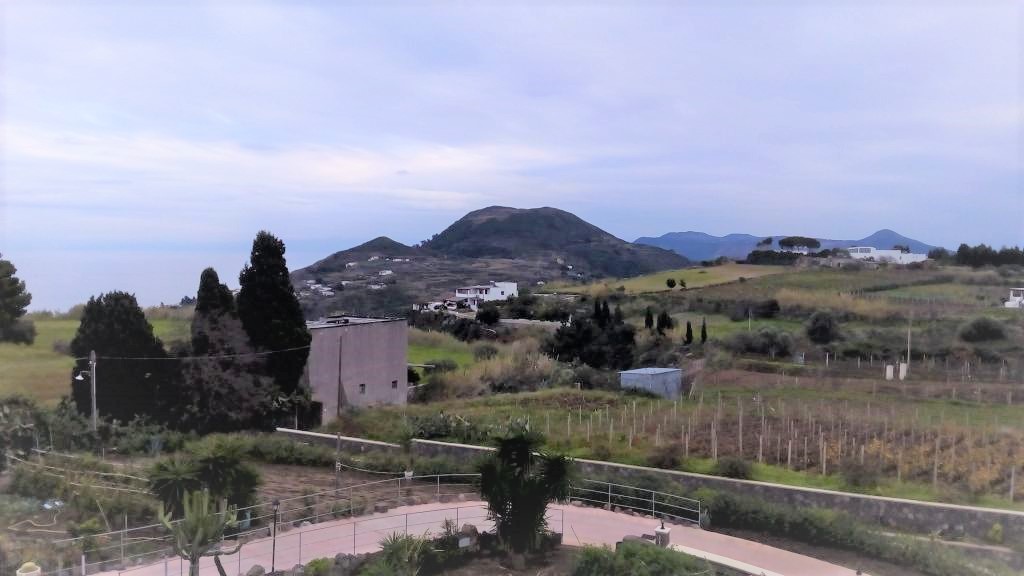Annuncio 562