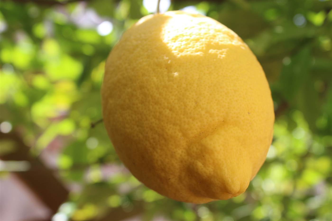 First slide