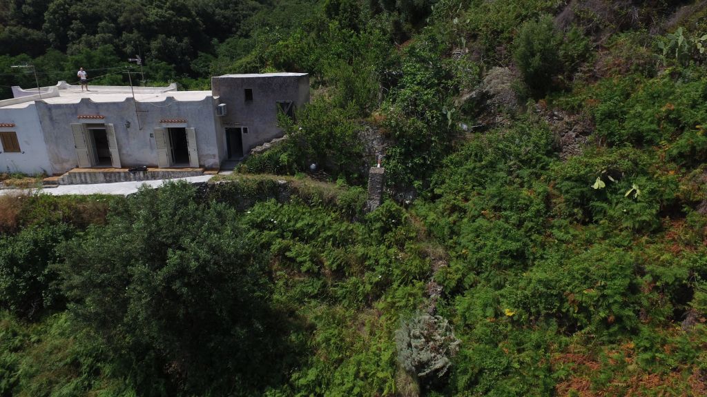 First slide